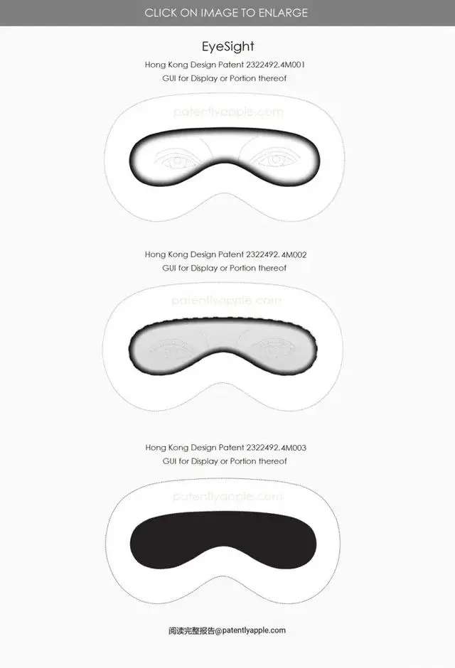 Vision Pro